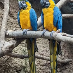 Henry Vilas Zoo - Madison