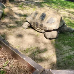 Henry Vilas Zoo - Madison
