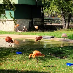 Henry Vilas Zoo - Madison
