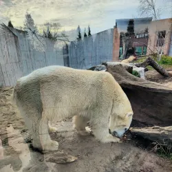 Henry Vilas Zoo - Madison