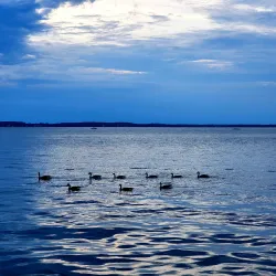 James Madison Park - Madison