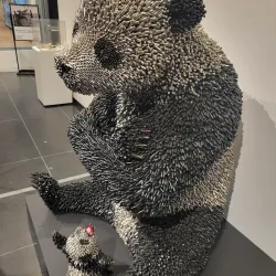 Madison Museum of Contemporary Art (MMoCA) - Madison