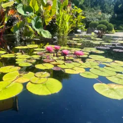 Olbrich Botanical Gardens - Madison