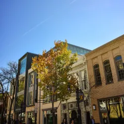 State Street - Madison