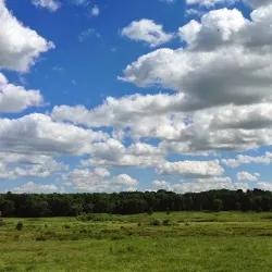 University of Wisconsin-Madison Arboretum - Madison