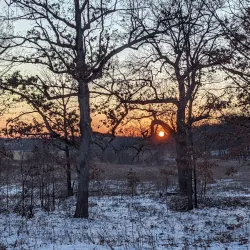 University of Wisconsin-Madison Arboretum - Madison