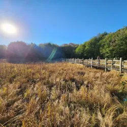 University of Wisconsin-Madison Arboretum - Madison