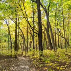 University of Wisconsin-Madison Arboretum - Madison