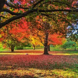 University of Wisconsin-Madison Arboretum - Madison