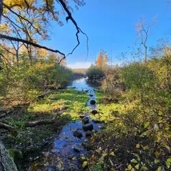 University of Wisconsin-Madison Arboretum - Madison