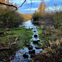University of Wisconsin-Madison Arboretum - Madison