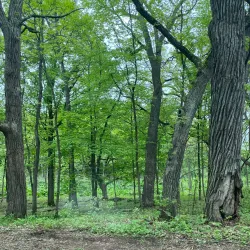 University of Wisconsin-Madison Arboretum - Madison