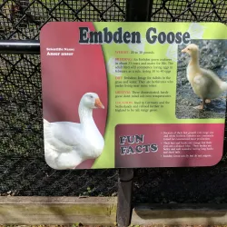 Lincoln Park - Manitowoc