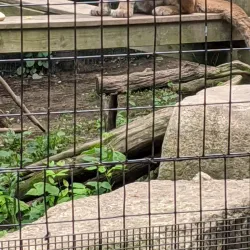 Lincoln Park - Manitowoc