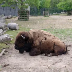 Lincoln Park - Manitowoc