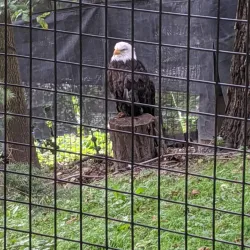 Lincoln Park - Manitowoc