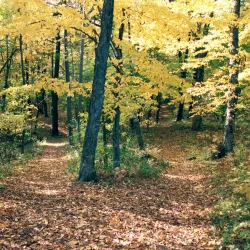 Lincoln Park - Manitowoc