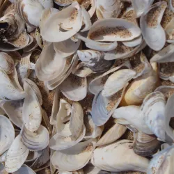 Silver Creek Park - Manitowoc