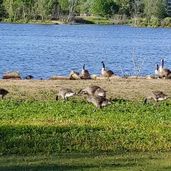 Stephenson Island Park - Marinette
