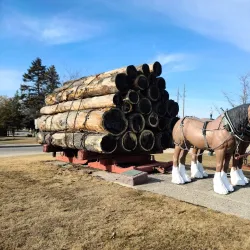Stephenson Island Park - Marinette
