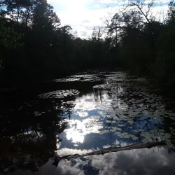 Twin Island Park - Marinette
