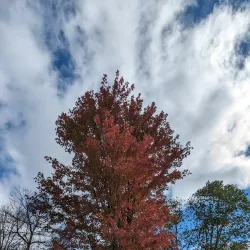 Twin Island Park - Marinette