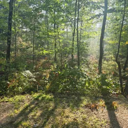 Twin Island Park - Marinette