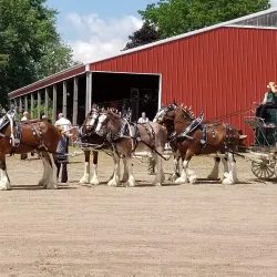 Marshfield Fairgrounds - Marshfield