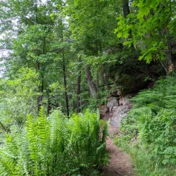 Rocky Arbor State Park - Marshfield