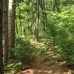 Rocky Arbor State Park - Marshfield