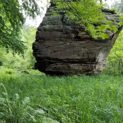 Rocky Arbor State Park - Marshfield