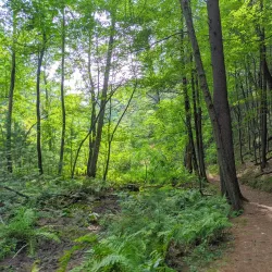Rocky Arbor State Park - Marshfield