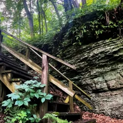 Rocky Arbor State Park - Marshfield