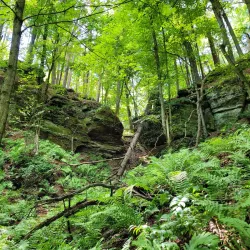 Rocky Arbor State Park - Marshfield