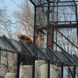 Wildwood Park - Marshfield