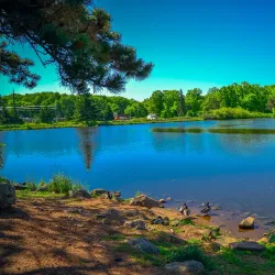 Wildwood Park - Marshfield