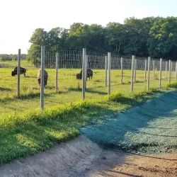 Wildwood Park - Marshfield