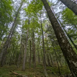 Council Grounds State Park - Merrill