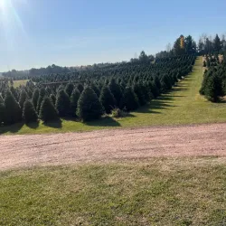 Merrill City Park - Merrill