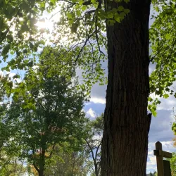 Pine Crest Golf Course - Merrill