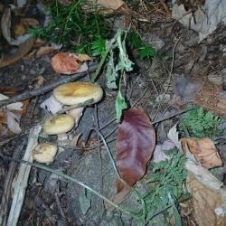 Riverside Park - Merrill