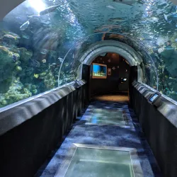 Discovery World - Milwaukee