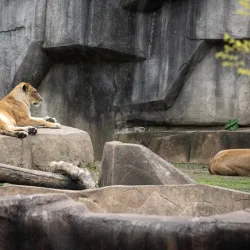 Milwaukee County Zoo - Milwaukee