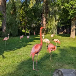 Milwaukee County Zoo - Milwaukee