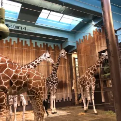 Milwaukee County Zoo - Milwaukee