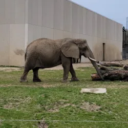 Milwaukee County Zoo - Milwaukee