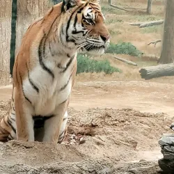 Milwaukee County Zoo - Milwaukee