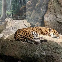 Milwaukee County Zoo - Milwaukee