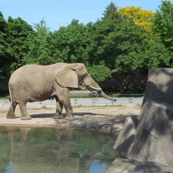 Milwaukee County Zoo - Milwaukee