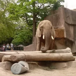 Milwaukee County Zoo - Milwaukee